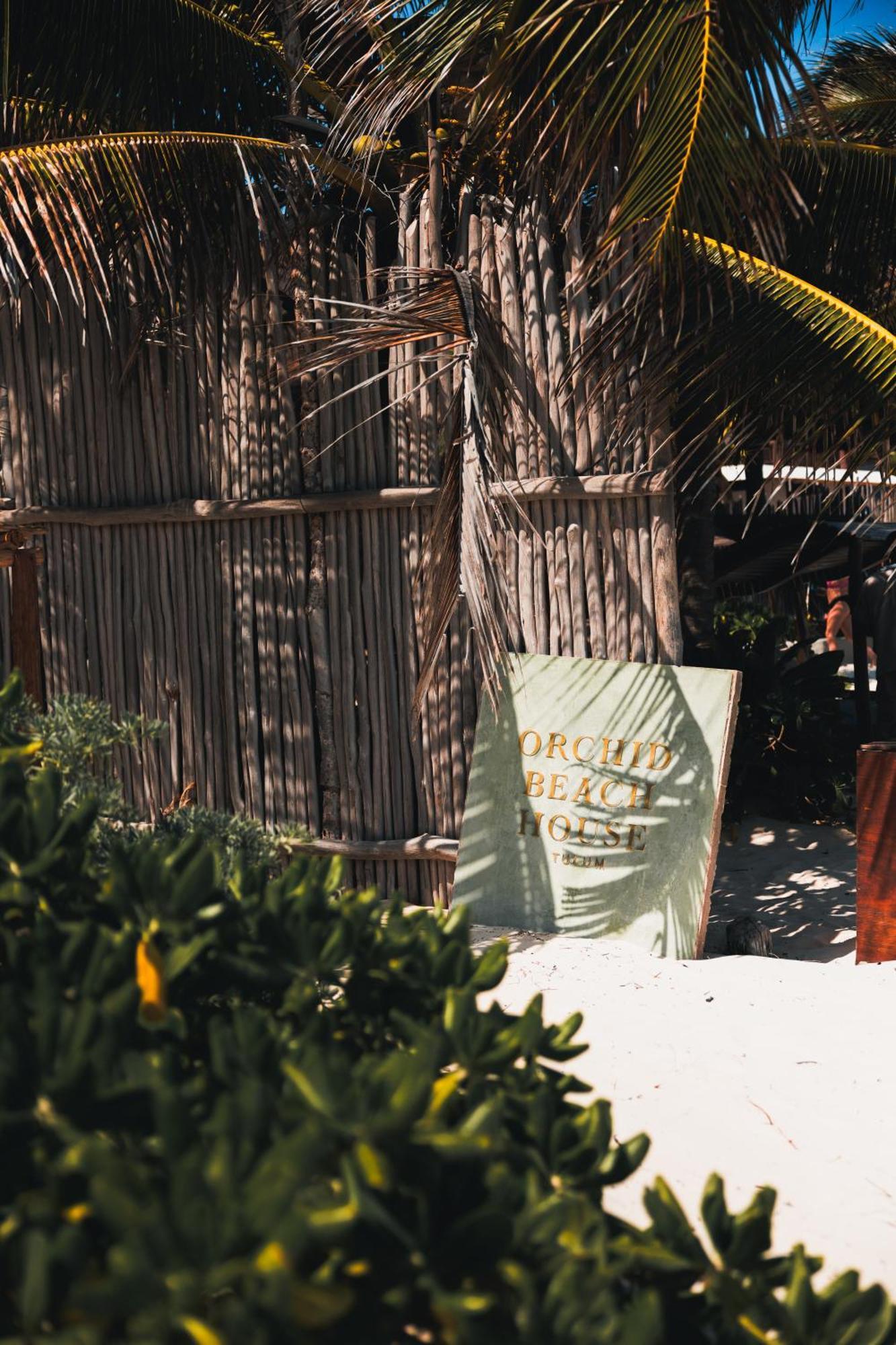 Orchid House Tulum Beach (Adults Only) エクステリア 写真